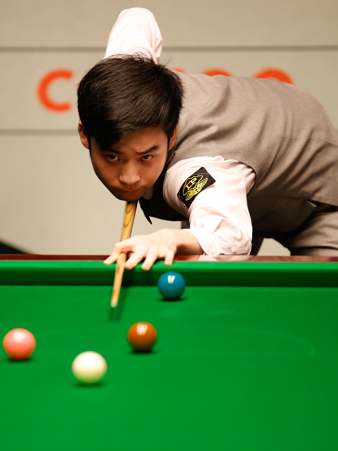 的识别明显 的识别明显